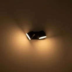 Aplique de pared exterior doble 