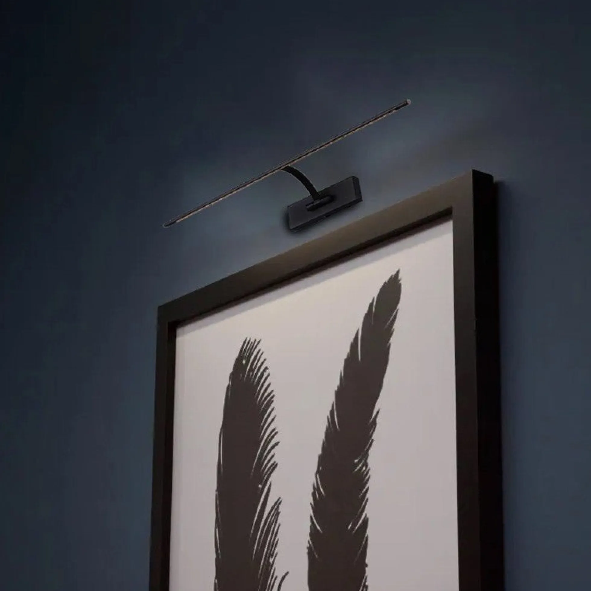 Aplique de pared para iluminación de cuadros LED 6W ajustable
