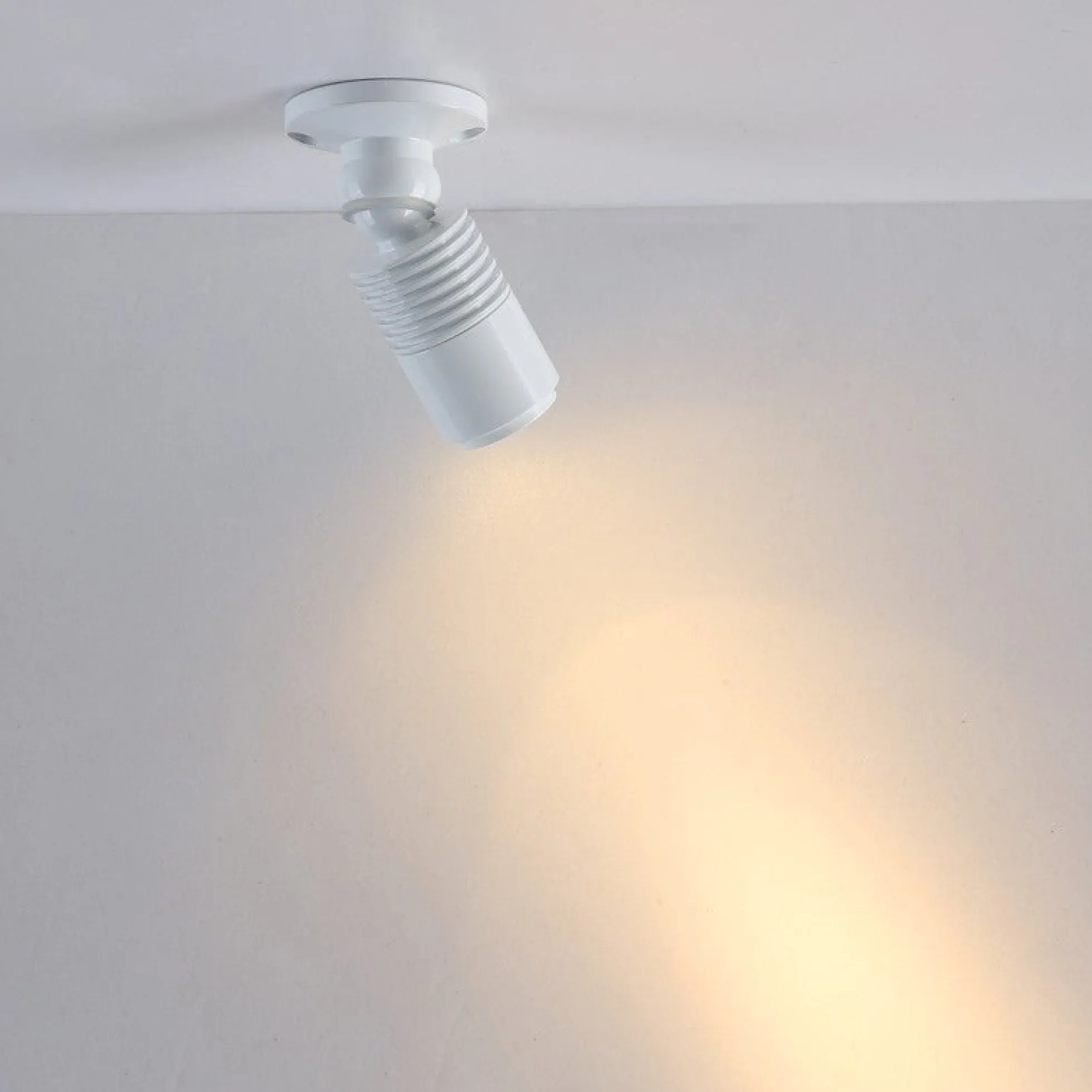 Aplique de techo con zoom - Orientable - 2700K - 3W