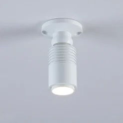Aplique de techo con zoom - Orientable - 2700K - 3W