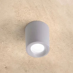 Aplique de techo 