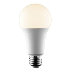 Bombilla LED E27 A65 - 14W - 1400 lm