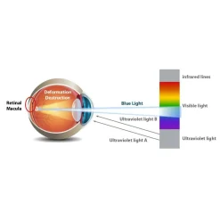 Bombilla LED GU10 6W Full Spectrum 