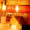 Bombilla LED Vintage Globo de Filamento E27 G125 6W