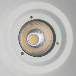 Campana LED 36W especial para fruterías y verdulerías  - Driver KeGu