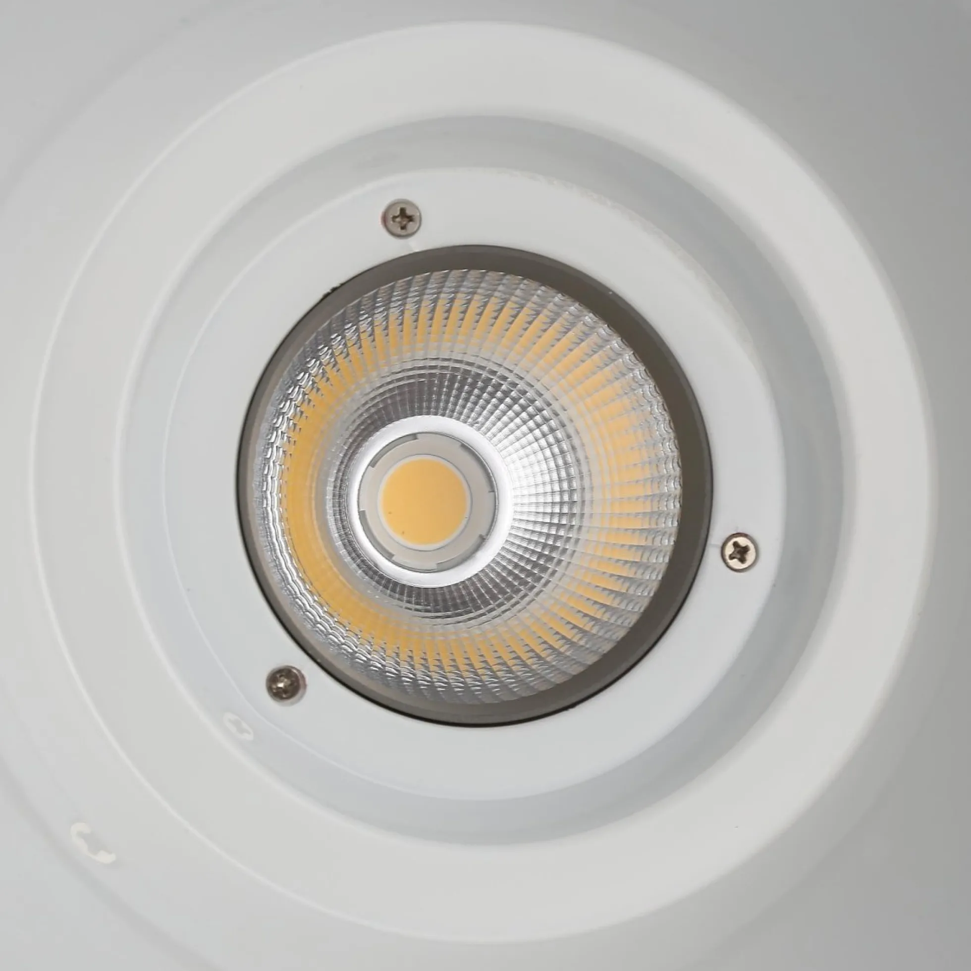 Campana LED 36W especial para verdulerías - Driver KeGu