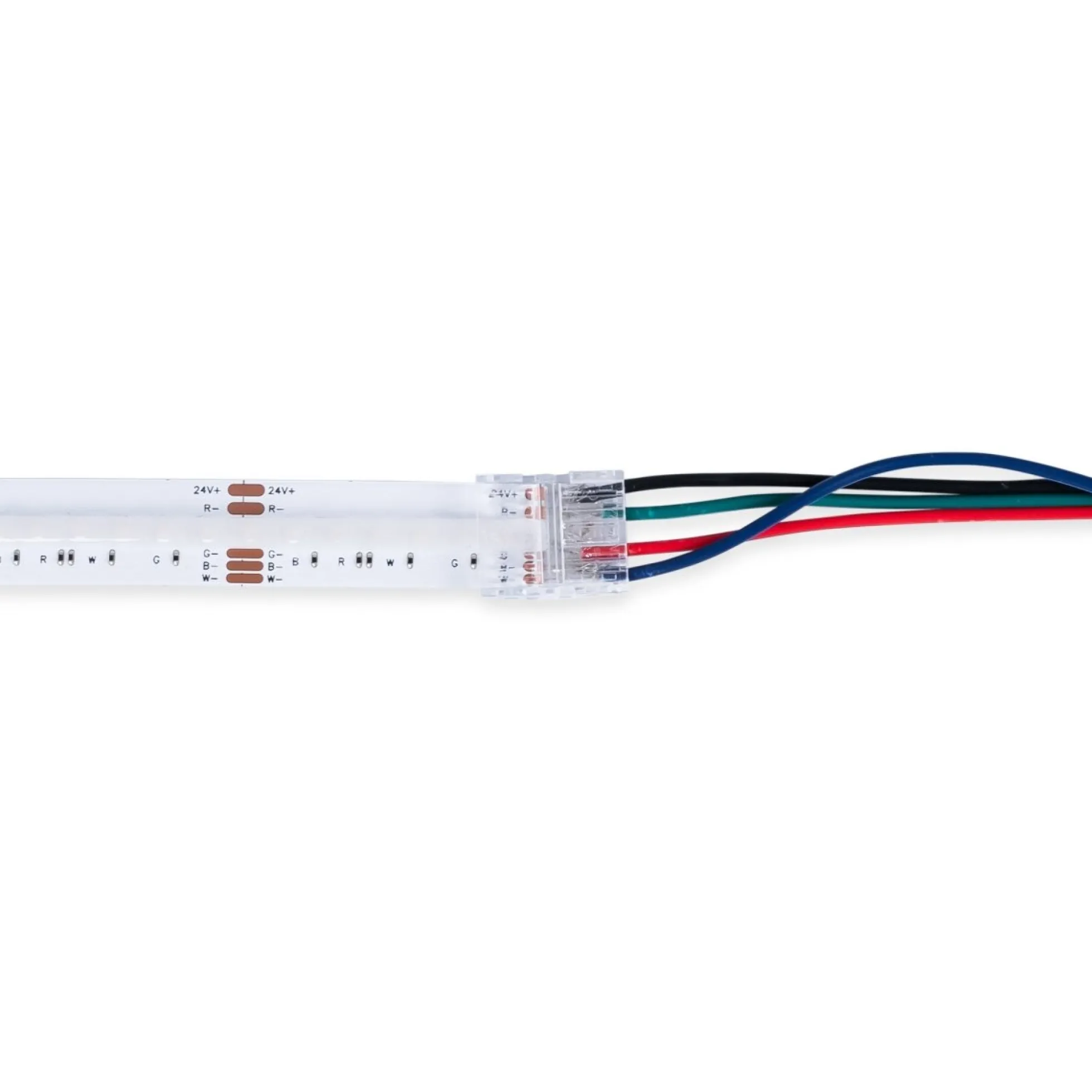Conector Hippo Tira RGB COB a Cable - PCB 12mm - 4 pines - IP20 - Máx. 24V