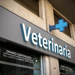 Cruz de veterinaria LED monocolor azul - 50x50cm - Doble cara - Exterior