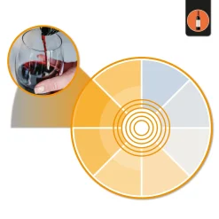 Downlight LED basculante empotrable - Chip especial para oro y vino - 40W