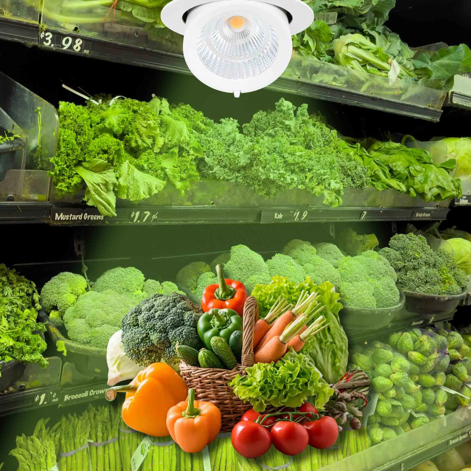 Downlight LED basculante empotrable - Chip especial para verduras - 40W