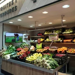 Downlight LED especial para frutas y verduras - 40W - Driver Philips - Corte Ø210 mm