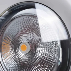 Downlight LED especial para frutas y verduras - 40W - Driver Philips - Corte Ø210 mm