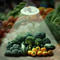 Downlight LED especial para frutas y verduras - 40W - Driver Philips - Corte Ø210 mm