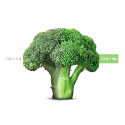 Downlight LED especial para frutas y verduras - 40W - Driver Philips - Corte Ø210 mm