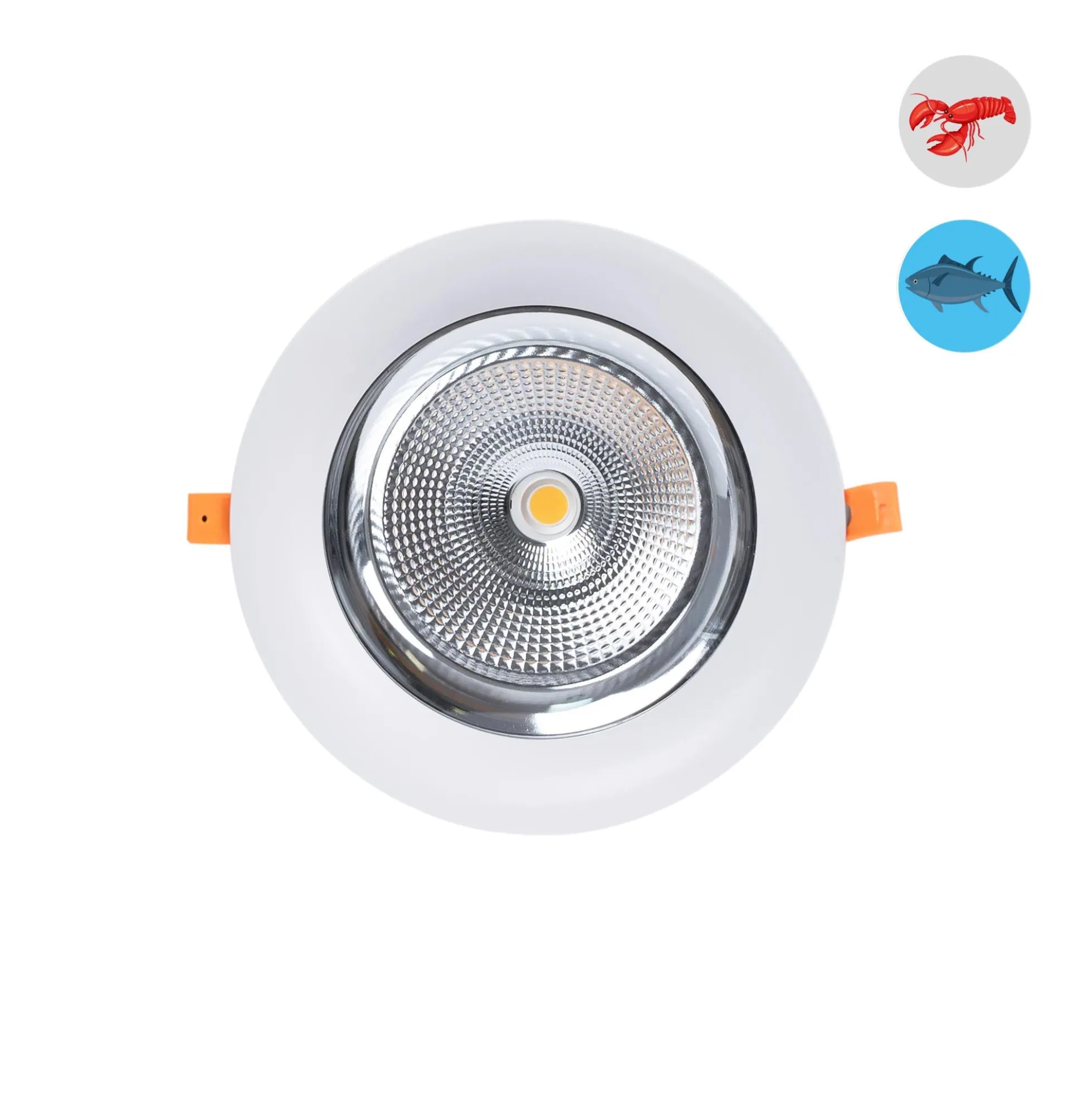 Downlight LED especial para pescaderías - 40W - Driver Philips - Corte Ø210 mm