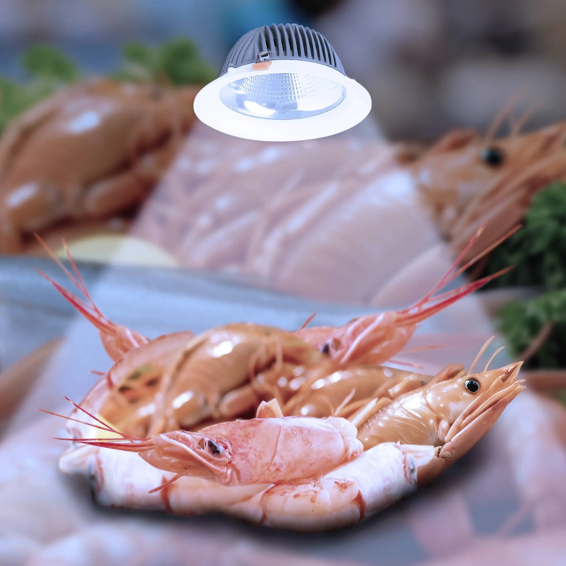 Downlight LED especial para pescaderías - 40W - Driver Philips - Corte Ø210 mm