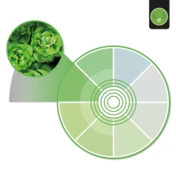 Downlight LED especial para verdulerías - 40W - Driver Philips - Corte Ø210 mm