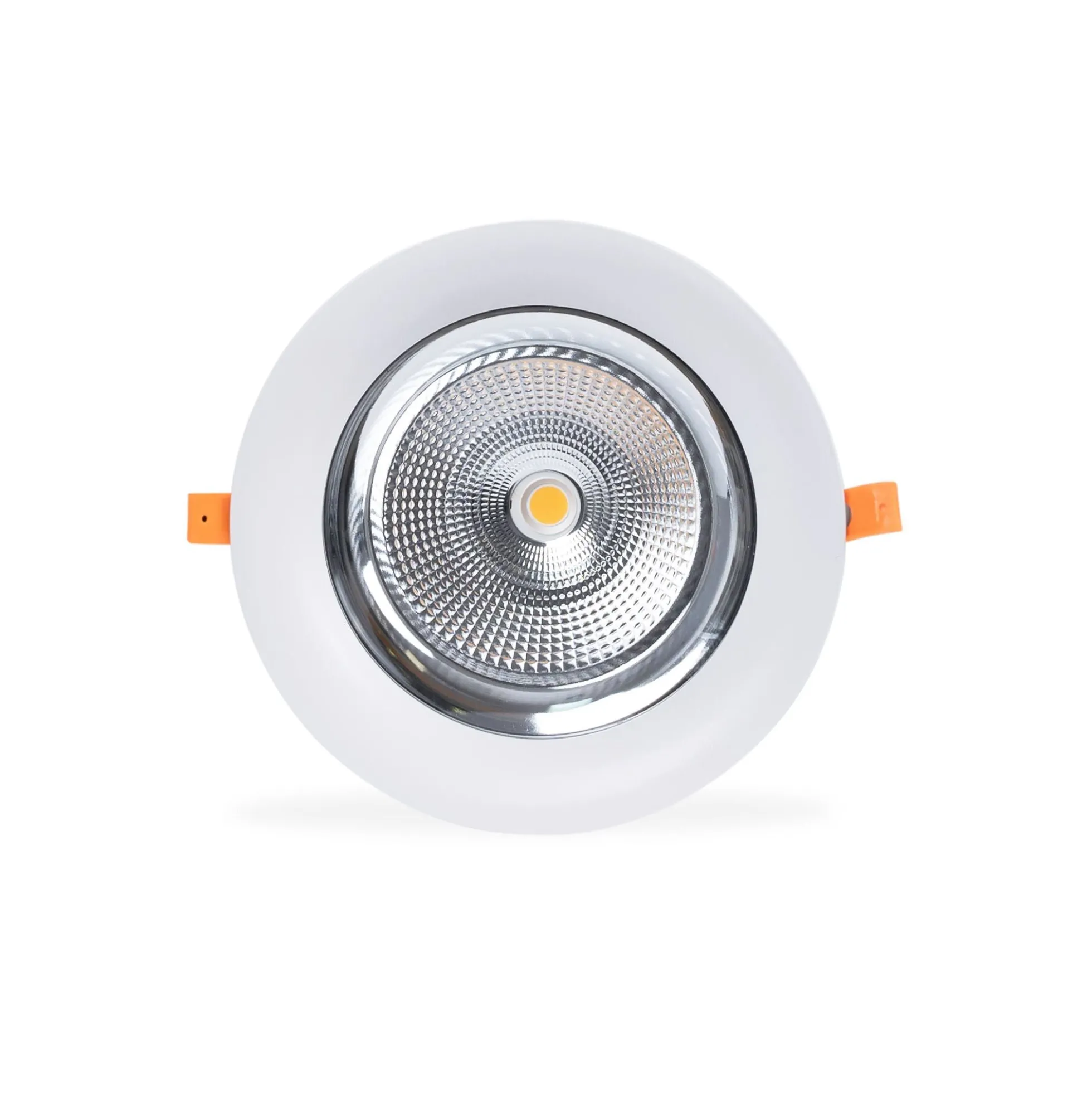 Downlight LED especial para verdulerías - 40W - Driver Philips - Corte Ø210 mm