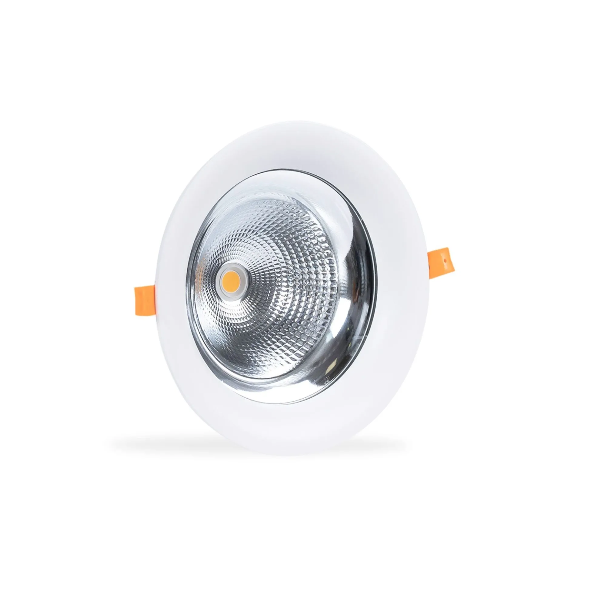Downlight LED especial para verdulerías - 40W - Driver Philips - Corte Ø210 mm