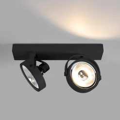 Foco de techo doble orientable