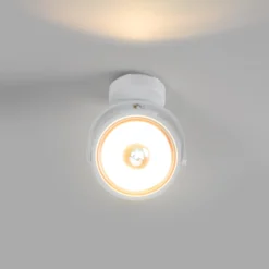 Foco de techo orientable "IRIS" + Bombilla AR111 GU10