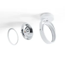 Foco de techo orientable 
