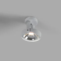 Foco de techo orientable 