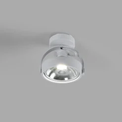 Foco de techo orientable 