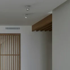 Foco de techo orientable 