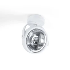 Foco de techo orientable 