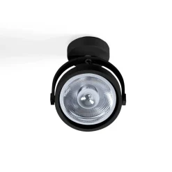 Foco de techo orientable