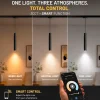 Foco LED de suspensión para carril magnético - 10W - 26mm - CCT + SMART FUNCTION