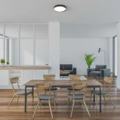 Lámpara de techo LED tipo plafón CCT 24W - Efecto madera - ø40cm - IP22