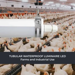 Luminaria estanca tubular para uso industrial - 150cm - 50W - 6900lm - IP65 - IK10