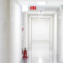 Luz de emergencia permanente con pictograma