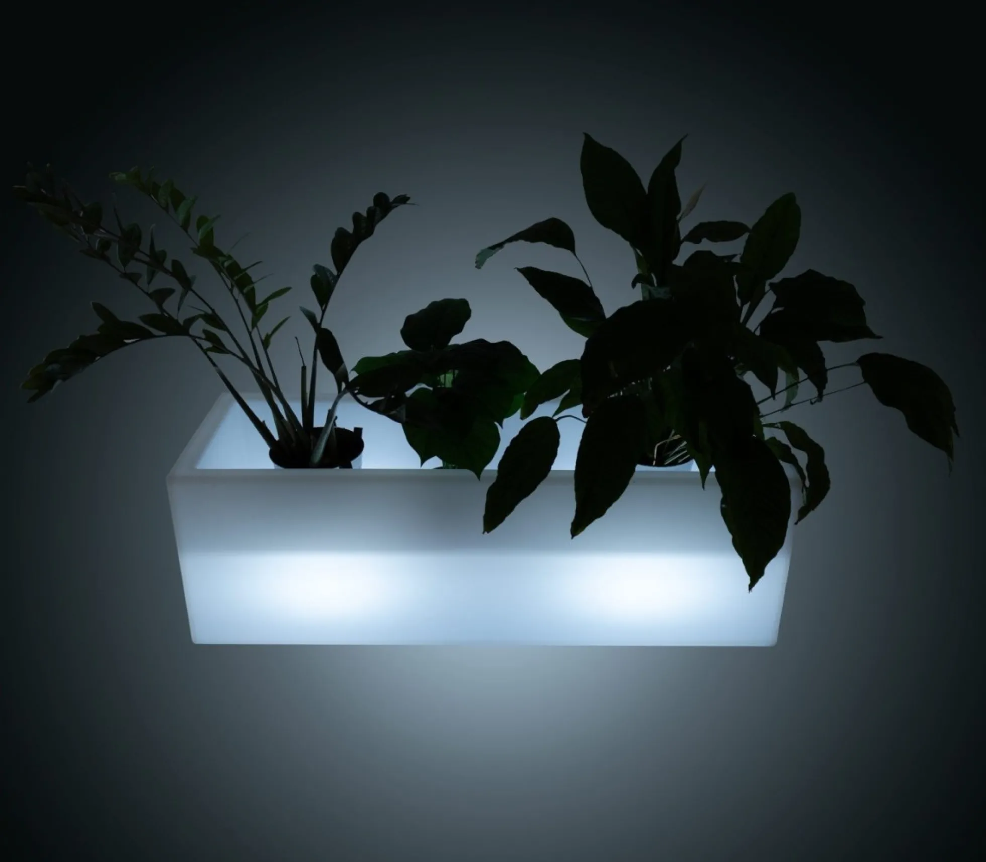 Macetero LED RGBW recargable - 12W - IP67