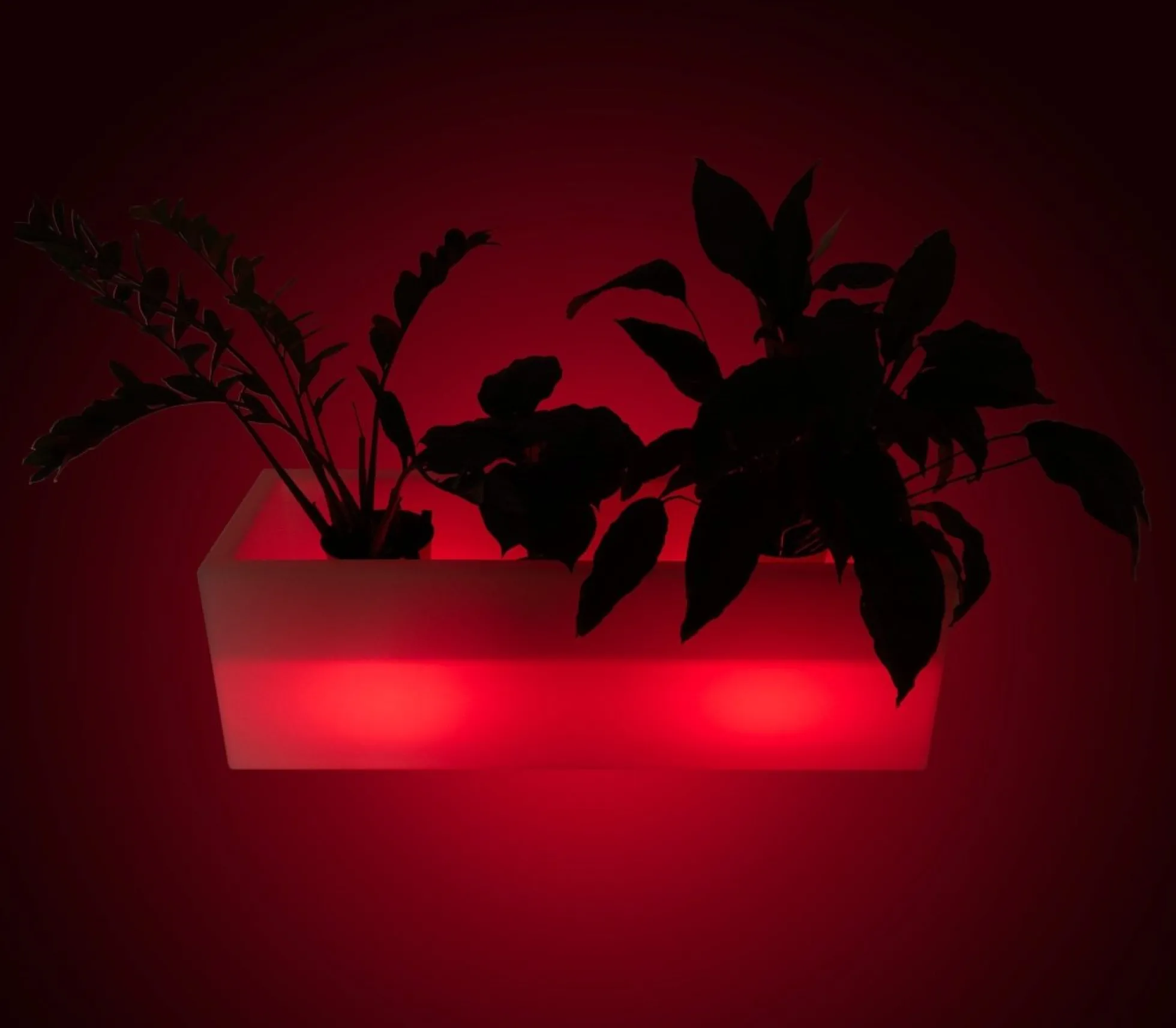 Macetero rectangular LED RGBW - 24W - Recargable - Mando a distancia