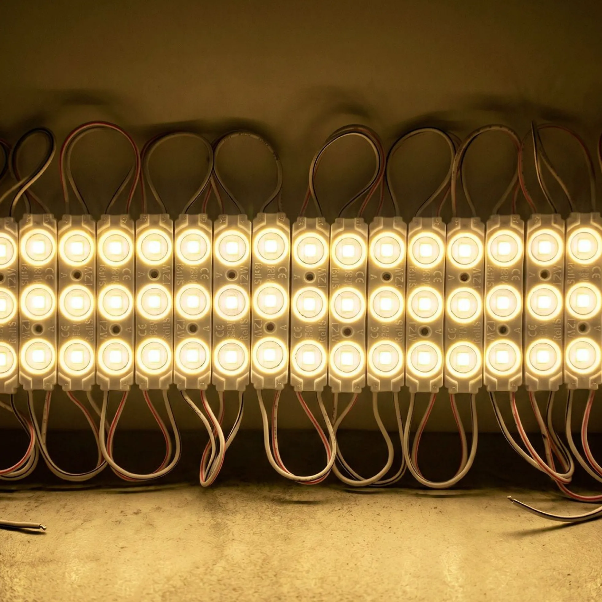 Módulo LED monocolor para rótulos - 1.2W - 12V - 160° - IP65