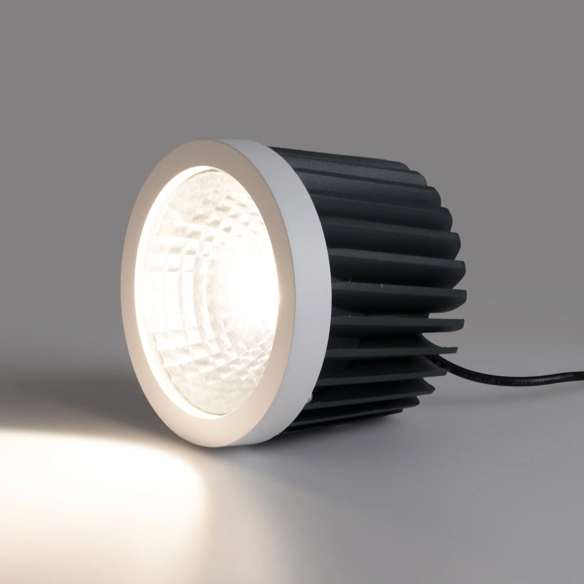 Módulo LED 30W QR111- CCT - Driver externo - 60° - CRI 90