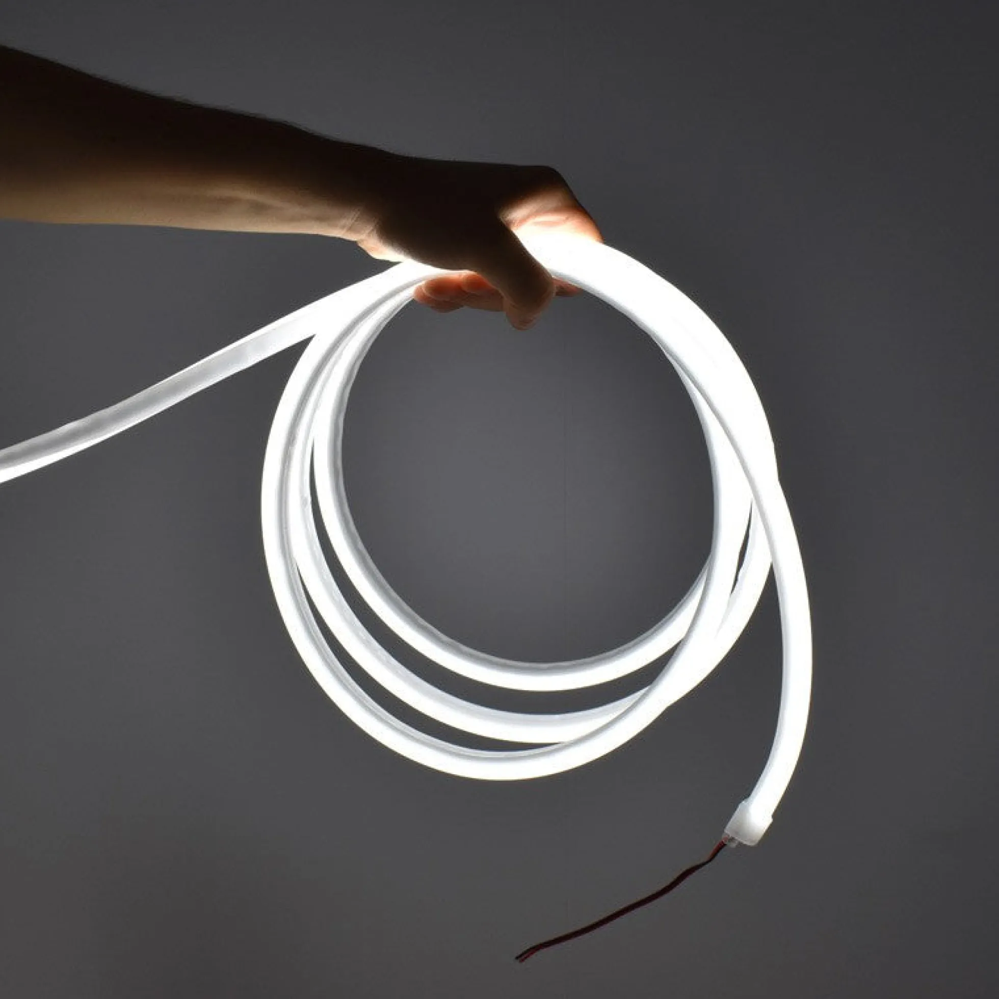 Neón LED flexible 24V DC - 12x12mm - 10 metros - Kit completo - 11W/m - IP67 - Curvatura vertical