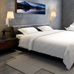 Pack x 2 - Aplique de pared para lectura con foco LED 