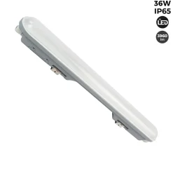 Pack x 24 - Pantalla estanca LED lineal enlazable 36W  - 120cm - IP65