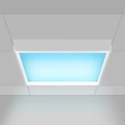 Panel