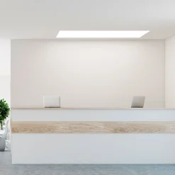 Panel LED empotrable 120X30cm - PUSH regulable - 44W - 3980lm - UGR19 - IP40