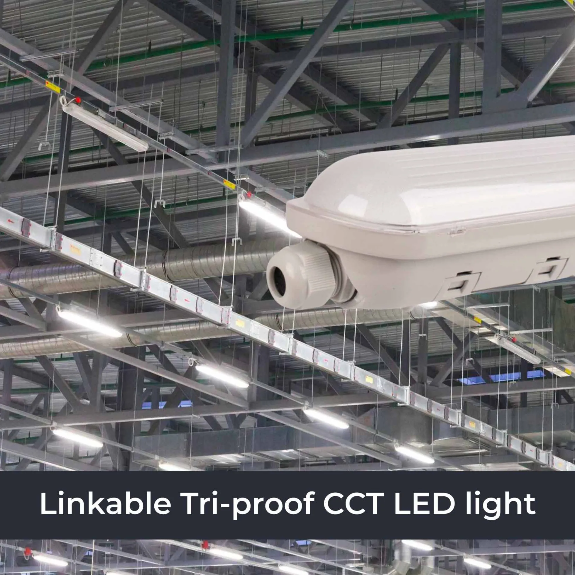 Pantalla estanca LED lineal enlazable- Regulable DALI - CCT - 150cm - 55W - Driver LIFUD - IP65