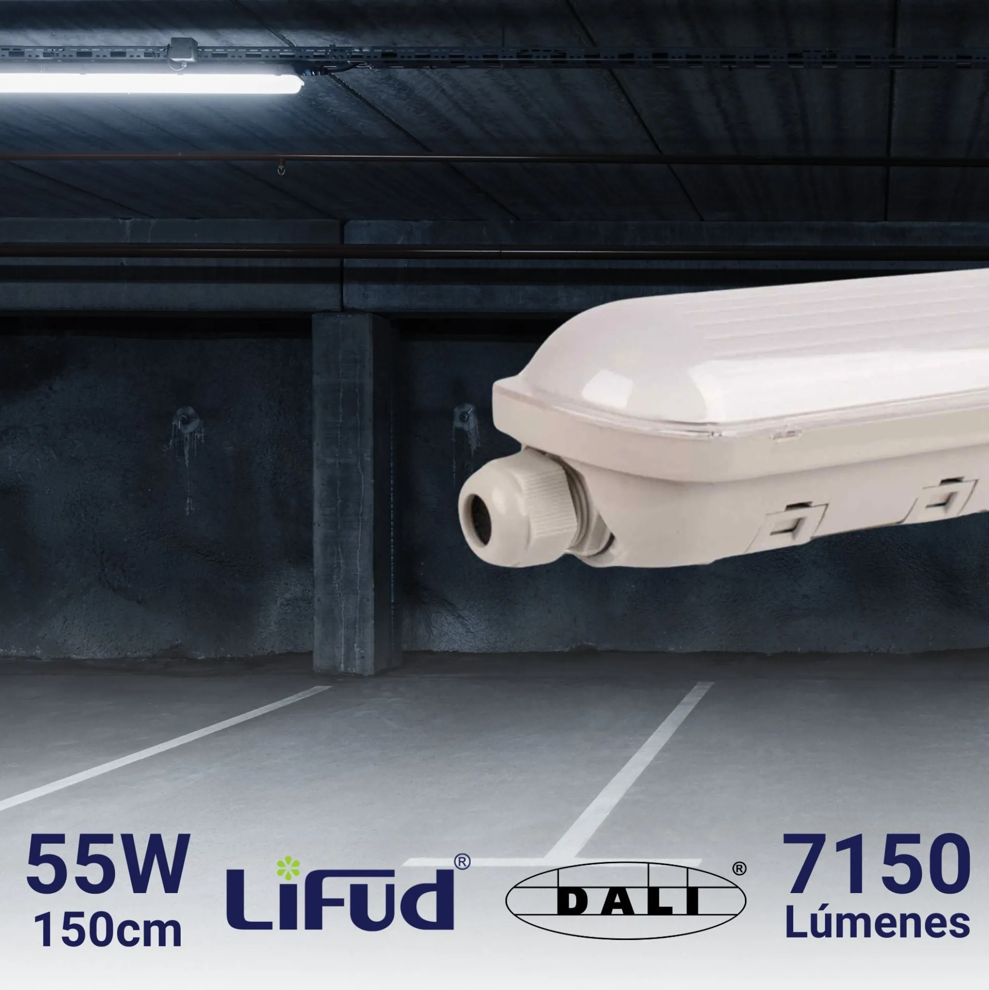 Pantalla estanca LED lineal enlazable- Regulable DALI - CCT - 150cm - 55W - Driver LIFUD - IP65
