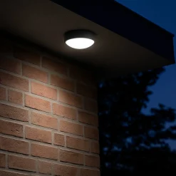 Plafón LED exterior redondo con sensor PIR - 15W - CCT - IP65