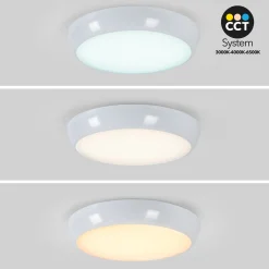 Plafón LED techo estanco / Luz de emergencia - CCT - Potencia ajustable 12W-16W - Ø31cm - IP65