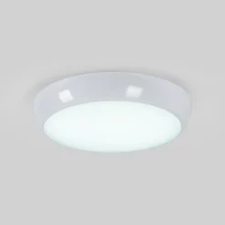 Plafón LED techo estanco / Luz de emergencia - CCT - Potencia ajustable 12W-16W - Ø31cm - IP65