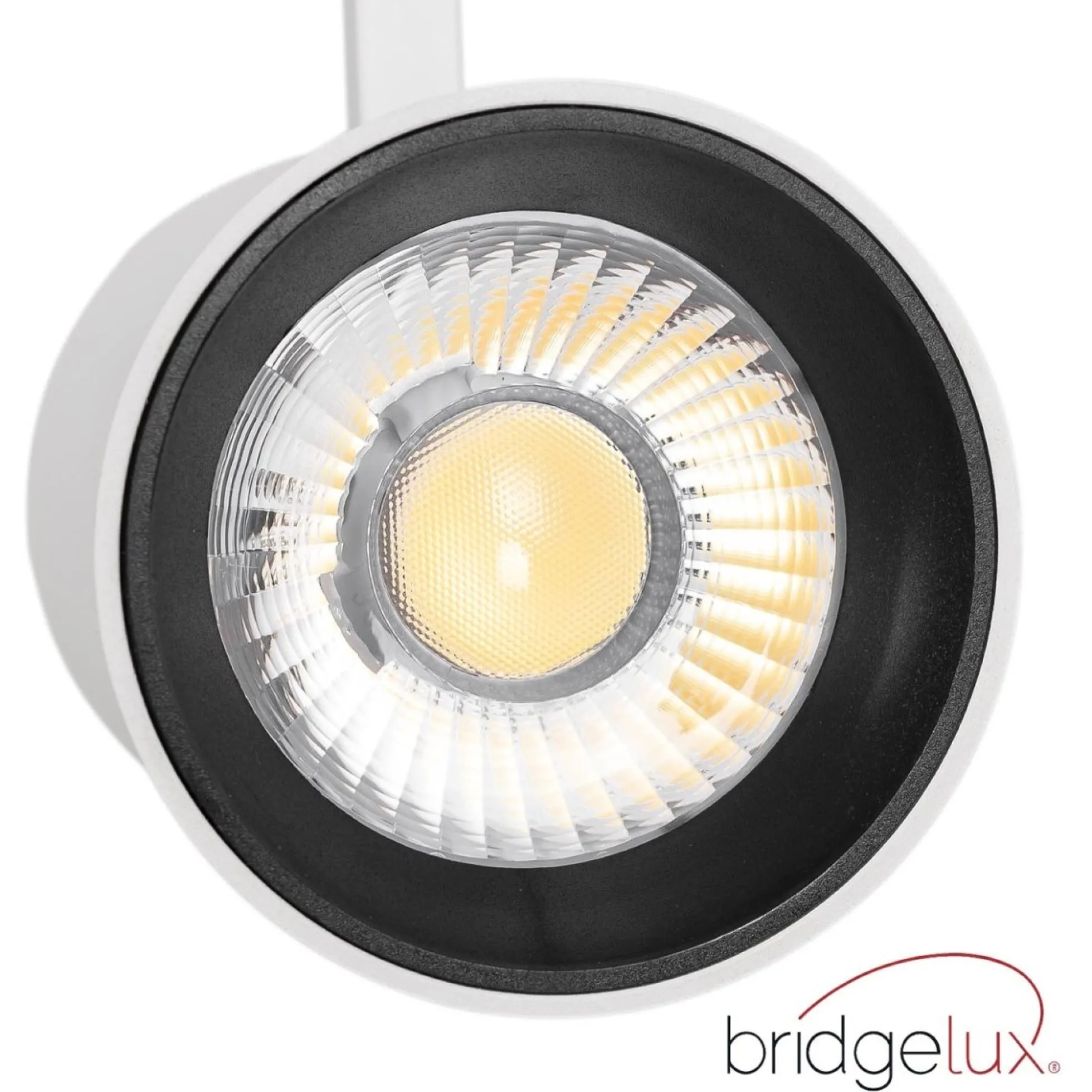 Proyector LED arquitectónico para carril trifásico CCT - 40W - CRI 90 - Driver KGP